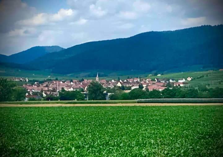 Le Clocher " Sous Les Combles" Parking Gratuit Beblenheim Exteriér fotografie